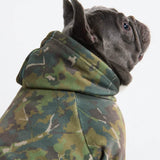 Hunde-Hoodie aus Betonholz – Moos
