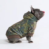 Hunde-Hoodie aus Betonholz – Moos