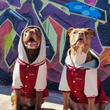 Collegejacke für Hunde– Rot