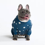 Hunde Pyjama - Sterne