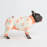 Hunde Pyjama - Pfirsiche