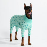 Hunde Pyjama - Kaktus