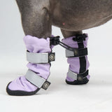 Hunde-Regenstiefel, Wasserdichte Hundeschuhe - Flieder