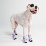 Hunde-Regenstiefel, Wasserdichte Hundeschuhe - Flieder