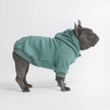 Essentielles Hunde Hoodie - Türkis