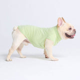 Sunblock Hunde-T-Shirt - Hellgrün