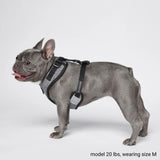 Superweiches Activewear Hundegeschirr - Grau