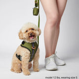 Superweiches Activewear Hundegeschirr - Grün