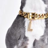 Gold initial letter pendant jewelry tag for dogs, pet ID tag for small and big dogs, bling for dogs, charms for dogs