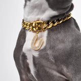 Hundeschmuck Buchstabenanhänger - U