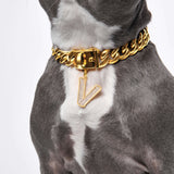 Hundeschmuck Buchstabenanhänger - V