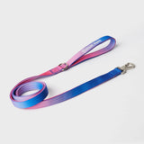 Komfort-Kontrolle No-Pull Hundegeschirr set - Rosa-Blau