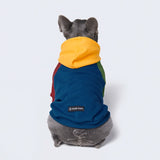 Buntstift Farbe Block Hund Hoodie