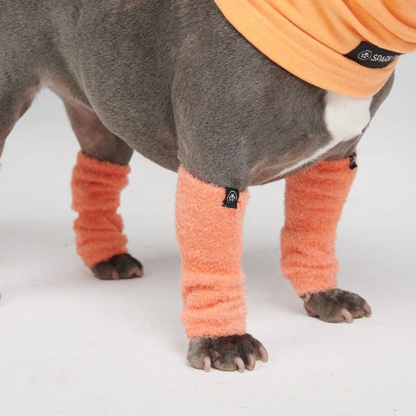 Dehnbare Fleece-Beinwärmer für Hunde - Orange