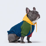 Buntstift Farbe Block Hund Hoodie
