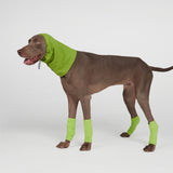 Dehnbare Fleece-Beinwärmer für Hunde - Limettengrün