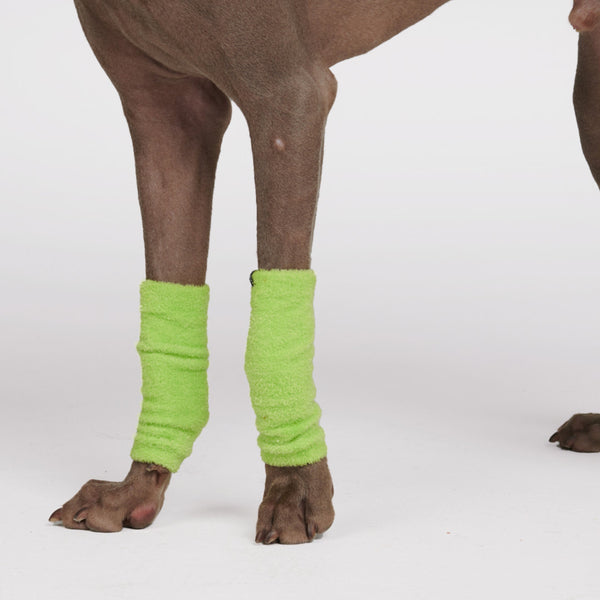Dehnbare Fleece-Beinwärmer für Hunde - Limettengrün