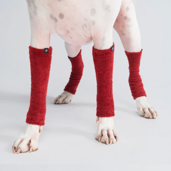 Dehnbare Fleece-Beinwärmer für Hunde - Rot