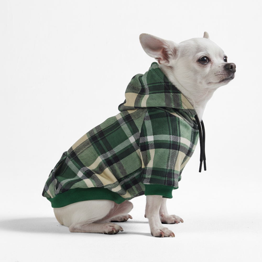 Karierter Hundepullover Mit Schal – Wärmender Winterpulli Für Hunde In Größe L – Stylisch & Gemütlich