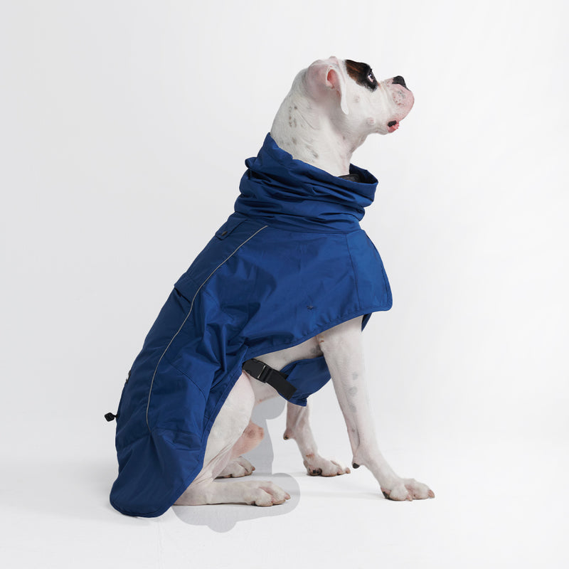 Breatheshield™️ Hunderegenmantel - Königsblau