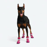 Fuchsia Camo Boots