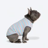 Gestreiftes Shirt - Blau Koralle