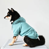 Essential Teal Hoodie