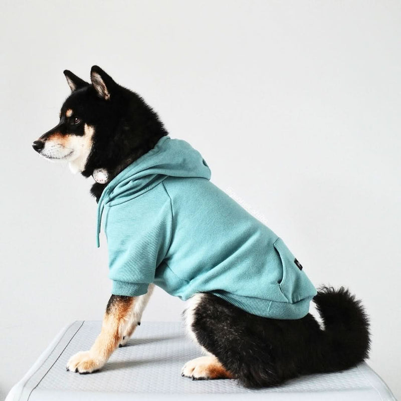 Essential Teal Hoodie