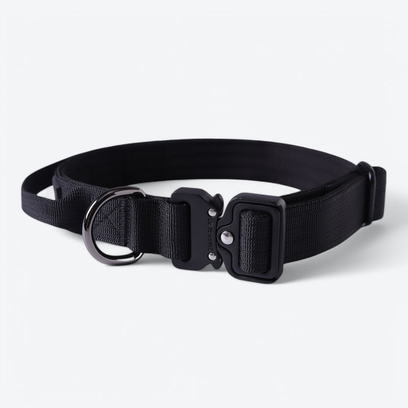 Taktisches Hundehalsband- und Leinen-Set - Schwarz