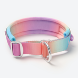 Pastel Icing Martingale Collar||size:C,D,E