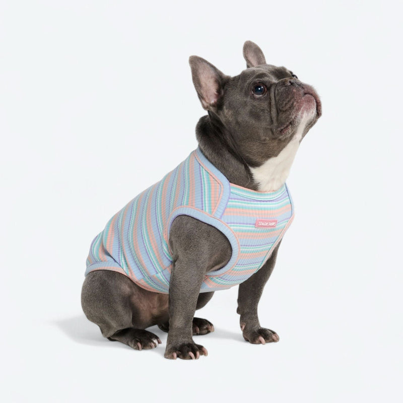 Gestreiftes Shirt - Blau Koralle