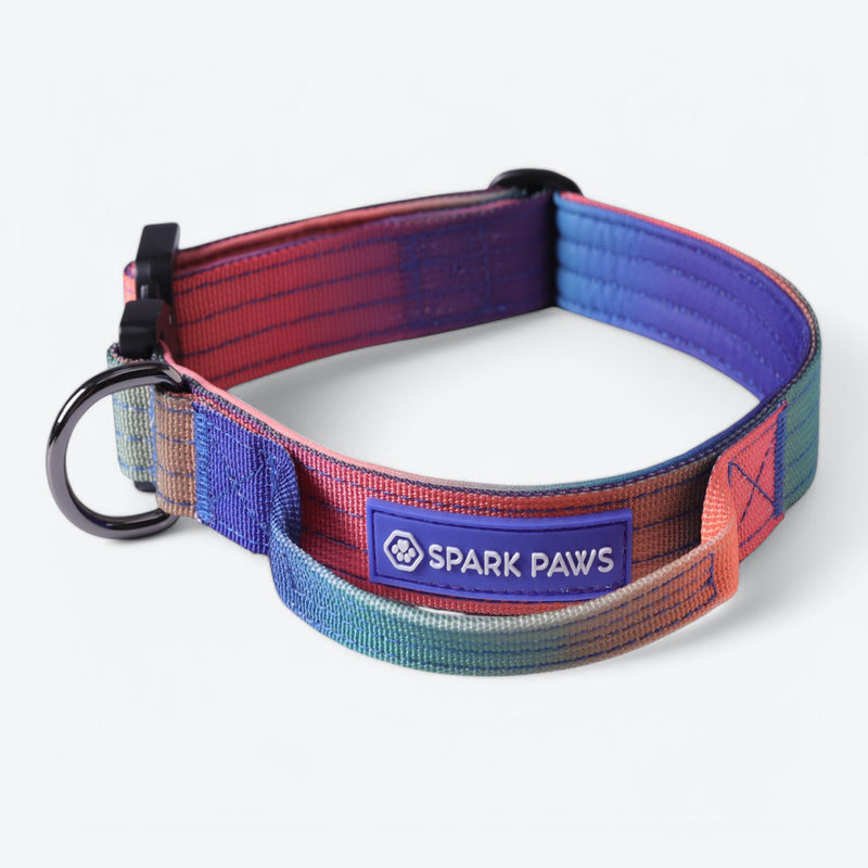 Taktisches Hundehalsband - und Leinen-Set - Kaleidoskop
