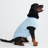 Sunblock Hunde-T-Shirt – Blau