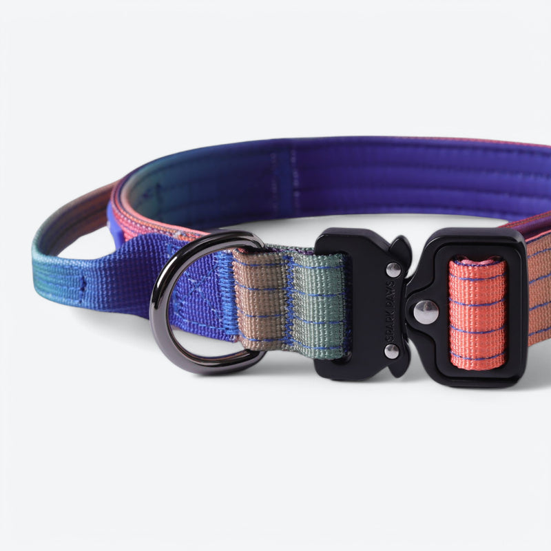 Taktisches Hundehalsband - und Leinen-Set - Kaleidoskop