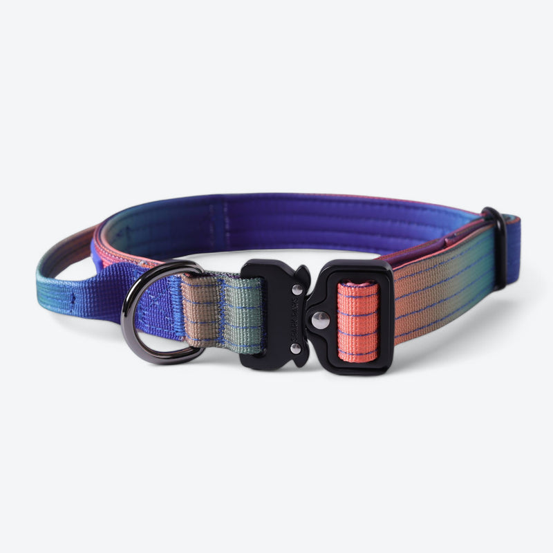 Taktisches Hundehalsband - und Leinen-Set - Kaleidoskop