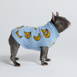 Gestrickter Hundepullover - Banane