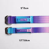 Taktisches Hundehalsband - und Leinen-Set - 90s Retro