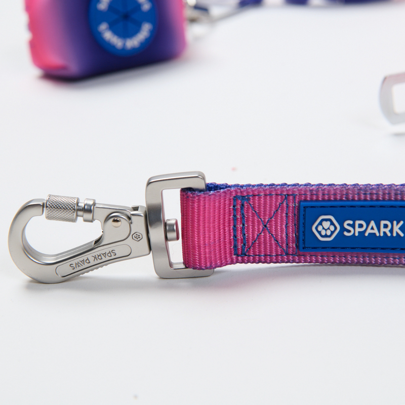 Snow Cone Neoprene Leash