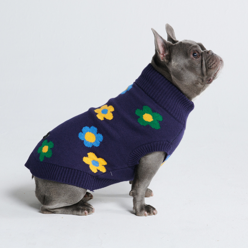 Gestrickter Hundepullover - Blaue grüne gelbe Blumen