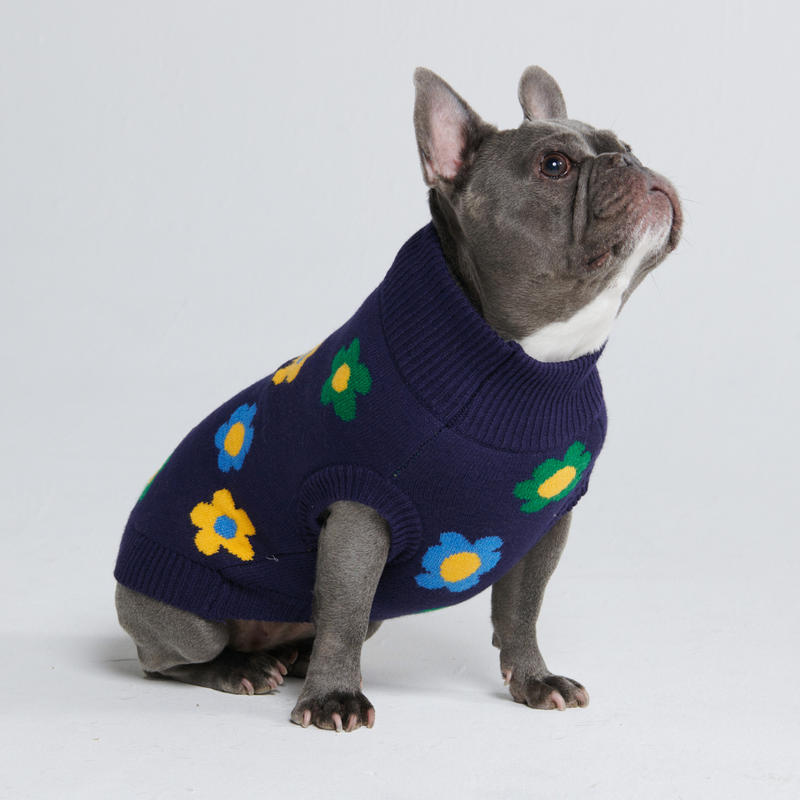 Gestrickter Hundepullover - Blaue grüne gelbe Blumen