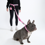 Pink Neoprene Leash
