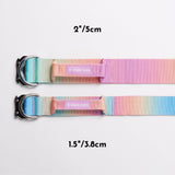 Taktisches Hundehalsband - und Leinen-Set - Pastellglasur