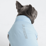 Blue Shirt