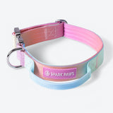 Taktisches Hundehalsband - und Leinen-Set - Pastellglasur