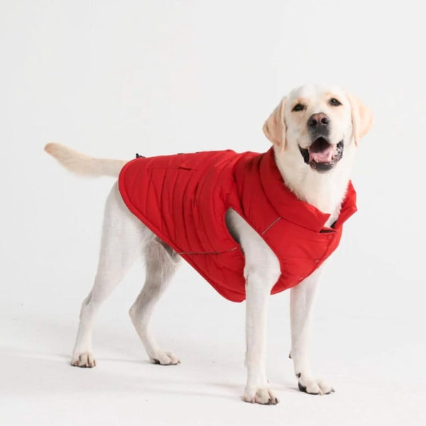 WarmShield™ wasserdichte Jacke – Rot