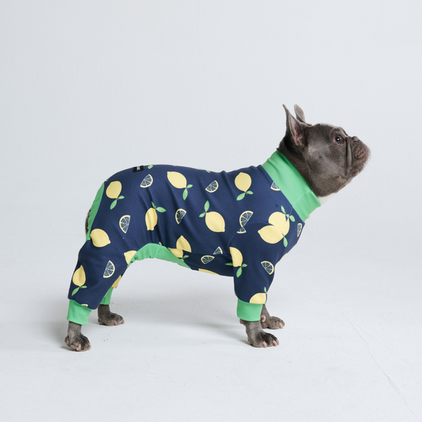 Hunde Pyjama - Zitrone