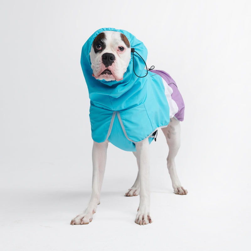 Breatheshield™️ Hund Regenmantel - Teal Weiß Lila