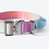 Taktisches Hundehalsband - und Leinen-Set - Pastellglasur