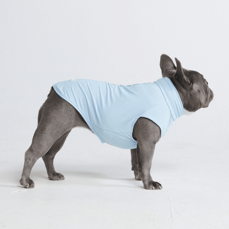 Blue Shirt