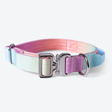 Taktisches Hundehalsband - und Leinen-Set - Pastellglasur